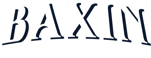 Baxin logo